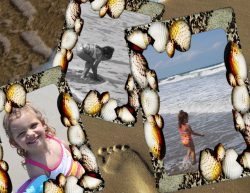 Ava Beach Collage