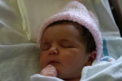 IMG_7230 IMG_7230