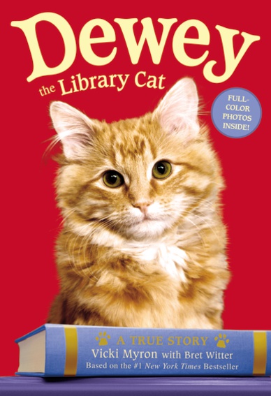 Book Review ~ Dewey the Library Cat