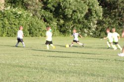 IMG_5770 IMG_5770