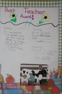 IMG_5826 IMG_5826