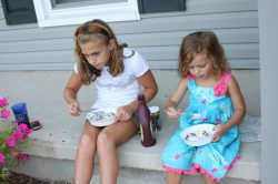 IMG_6070 IMG_6070