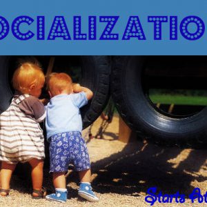 Socialization