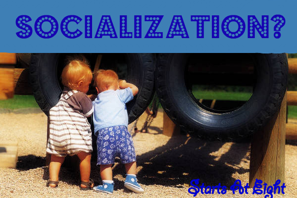 Socialization