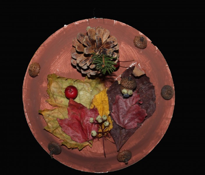 Chloe's 3D Fall Leaves Project