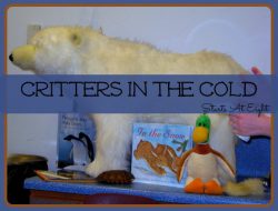 Critters In The Cold Critters In The Cold