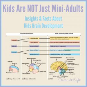 Kids Are NOT Just Mini-Adults (Kids Brain Development) from Starts At Eight