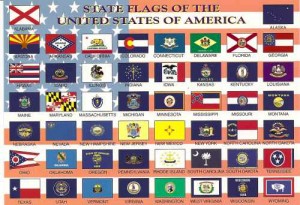 msc-1118-State Flags