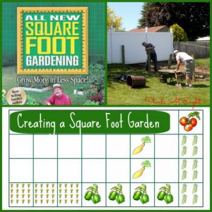 Creating a Square Foot Garden from Starts At Eight