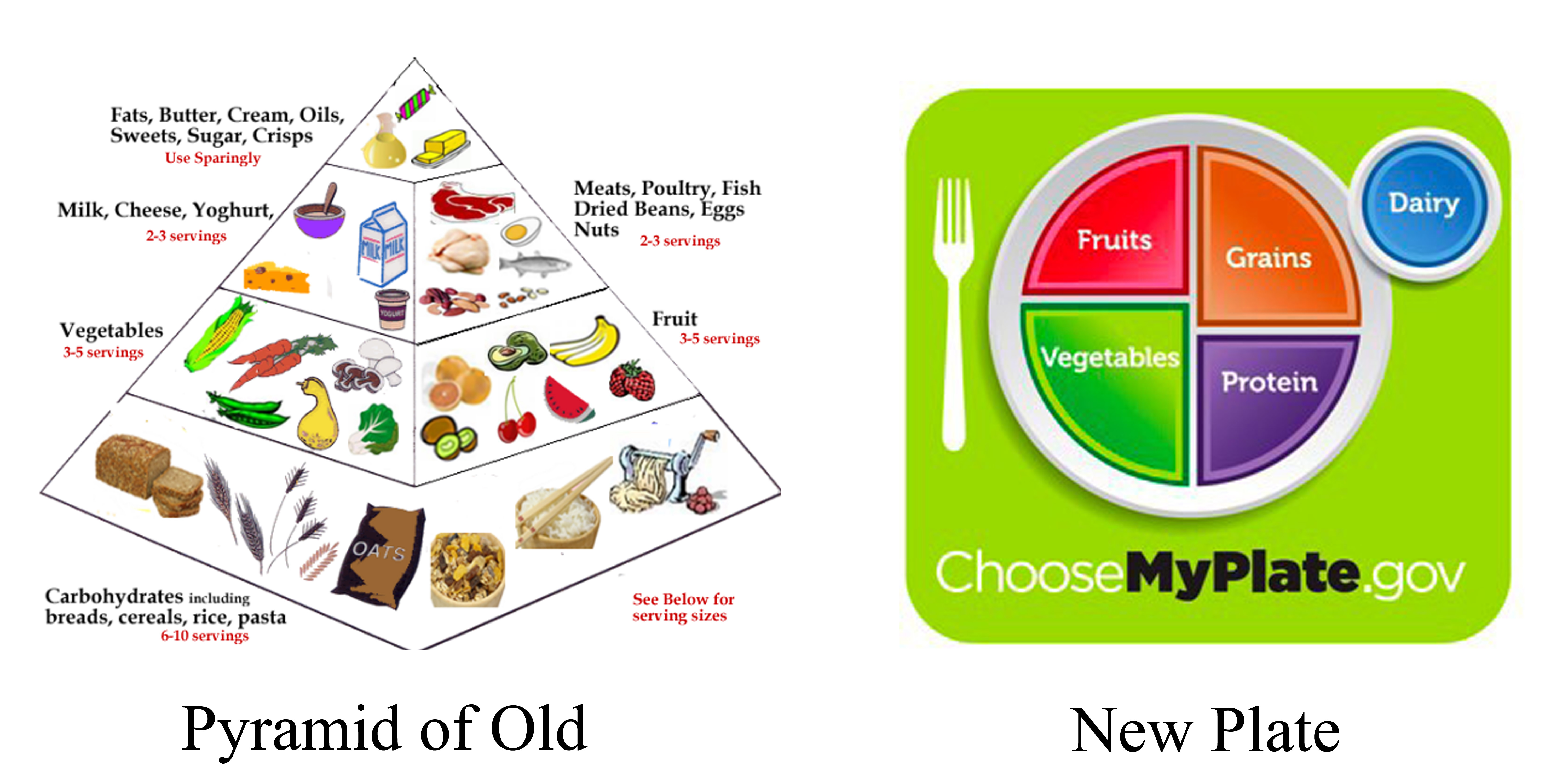 Healthy+eating+plate+model