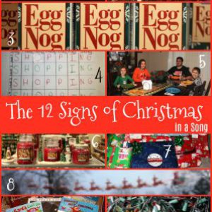 The 12 Days of Christmas...Ciravola Style: The 12 Signs of Christmas from Starts At Eight