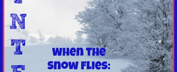 When the Snow Flies:  Answers for Winter Physical Education