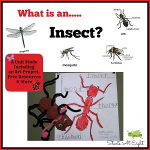 What is an Insect? A Unit Study from Starts At Eight