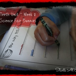 Teeth Unit ~ Week 2 ~ Science Fair Bunnies
