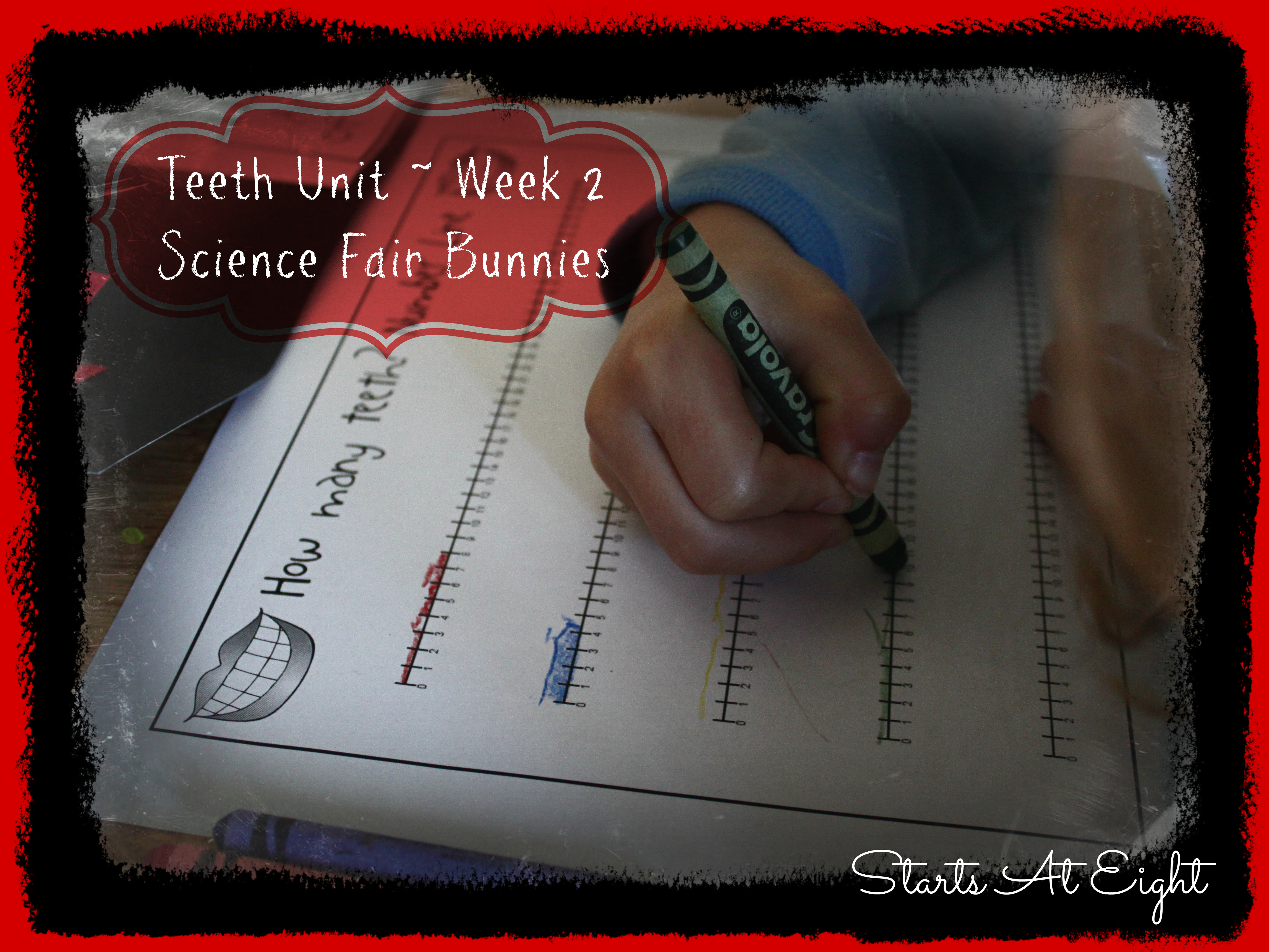 Teeth Unit ~ Week 2 ~ Science Fair Bunnies