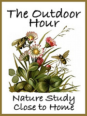 HandbookofNaturebutton