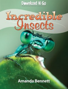 IncredibleInsectsCoverSM