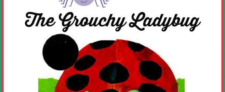 A Bug/Insect Unit Using Eric Carle Books ~ The Grouchy Ladybug