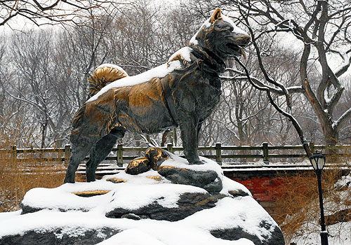 balto-central park