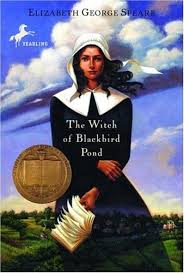 The Witch of Blackbird Pond Book Cover