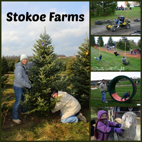 Stokoe Farms