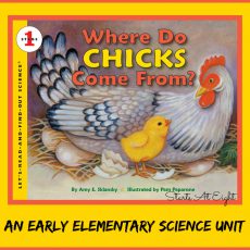 Where Do Chicks Come From ~ An Elementary Science Unit Study from Starts At Eight