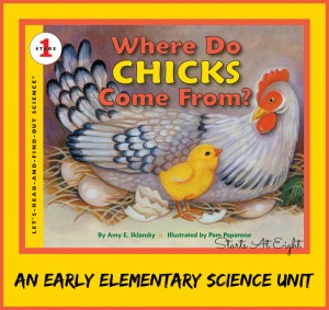 Where Do Chicks Come From ~ An Elementary Science Unit Study from Starts At Eight