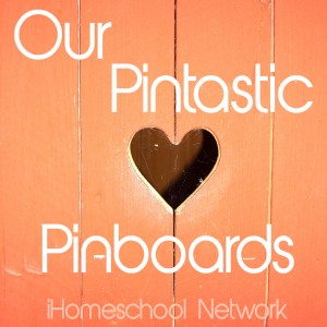 Pintastic Pin Boards from iHN Bloggers