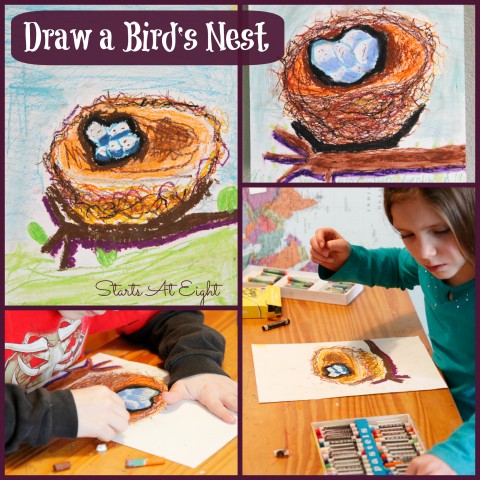 Draw a Bird's Nest ~ Spring Nature Study