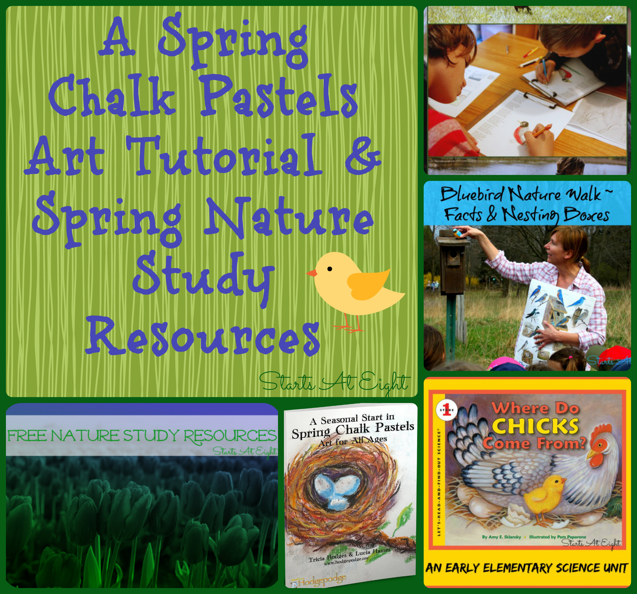 Spring Chalk Pastels Art Tutorial & Spring Nature Study Resources from Starts At Eight