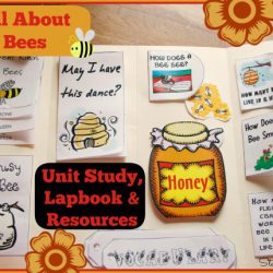 All About Bees Unit Study from Starts At Eight