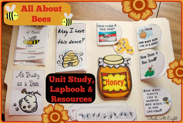 All About Bees Unit Study from Starts At Eight
