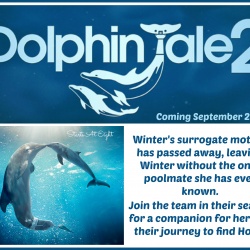 Dolphin Tale 2 – Trailer & Unit Study Resources