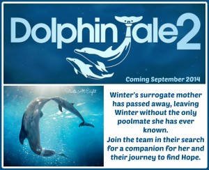 Dolphin Tale 2 ~ Official Trailer from Starts At Eight