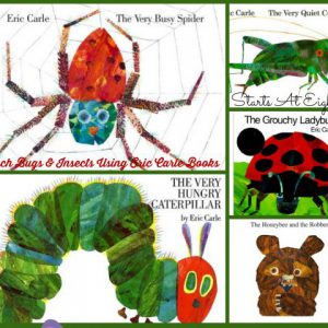 Teach Bugs and Insects Using Eric Carle Books from Starts At Eight