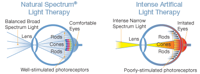 Verilux Eye Chart