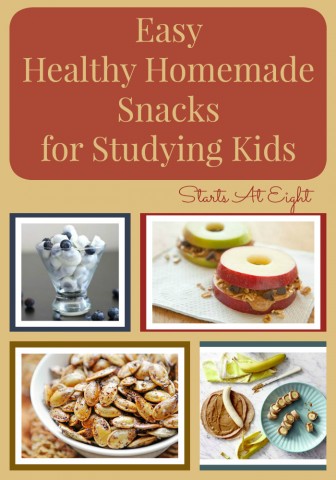 Easy Healthy Homemade Snacks for Studying Kids from Starts At Eight