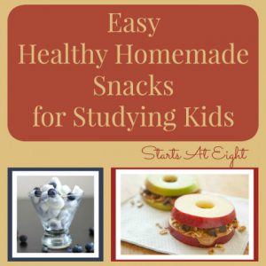 Easy Healthy Homemade Snacks for Studying Kids from Starts At Eight