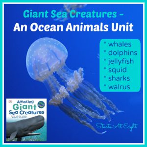Giant Sea Creatures ~ An Ocean Animals Unit from Starts At Eight