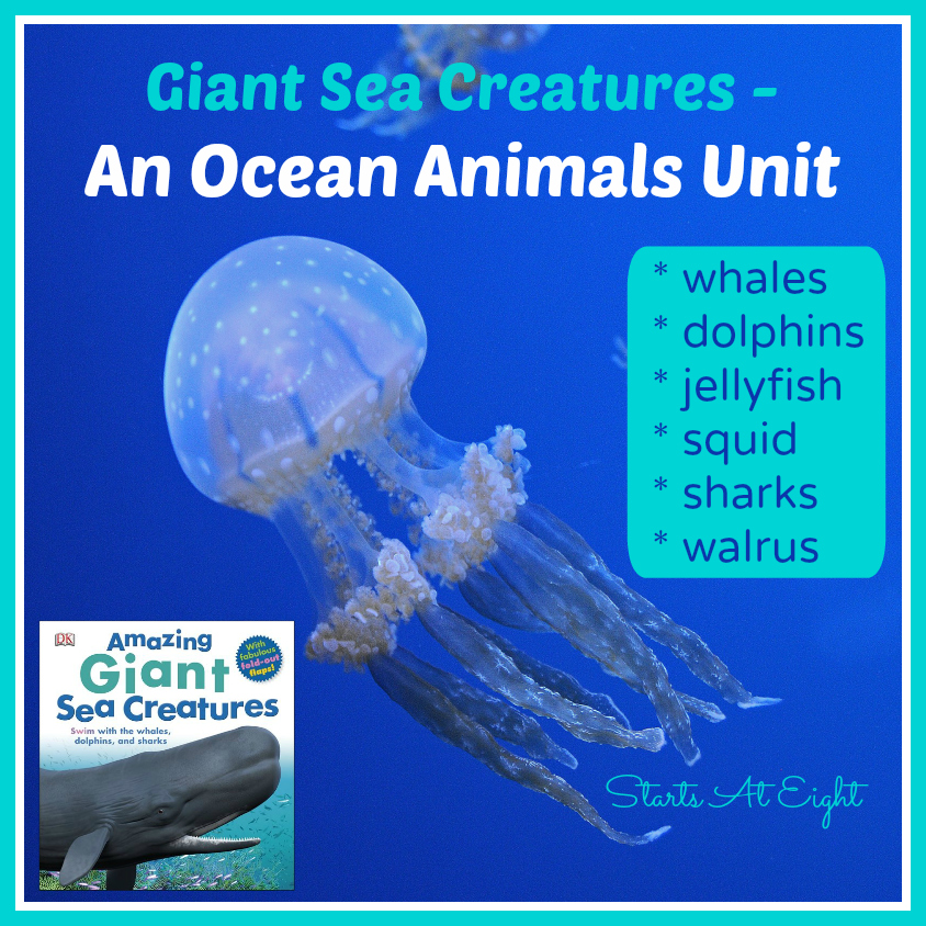 Giant Sea Creatures - An Ocean Animals Unit - StartsAtEight