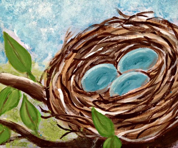 spring bird nest