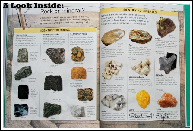 DK Eyewitness Rocks & Minerals