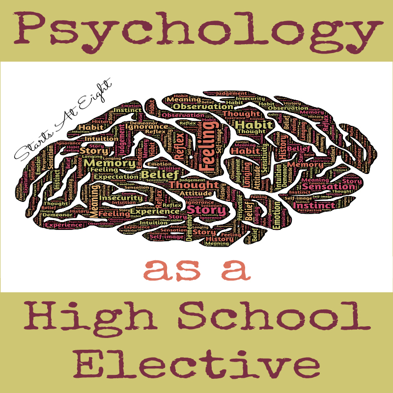 Psychology as a High School Elective from Starts At Eight