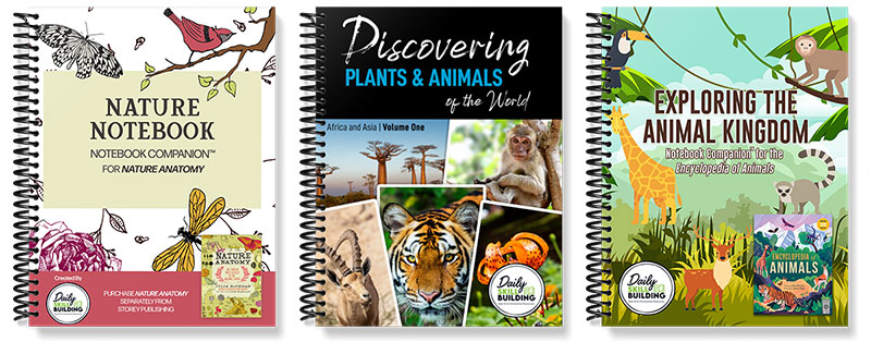 Animal Notebooks and Unit Studies