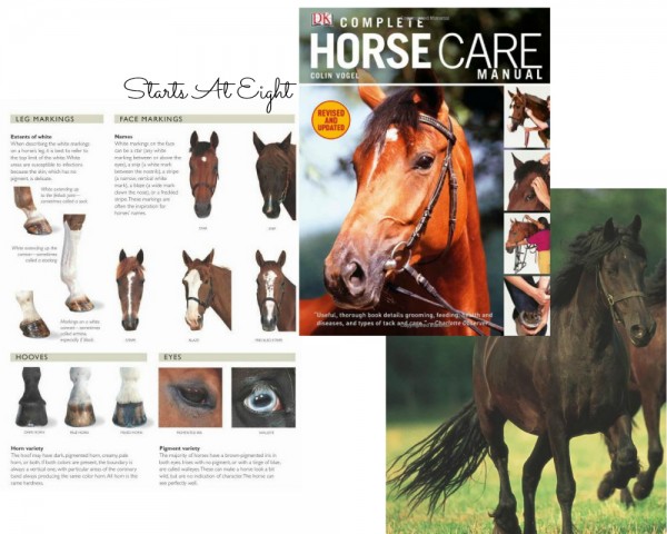 Horse Care Manual