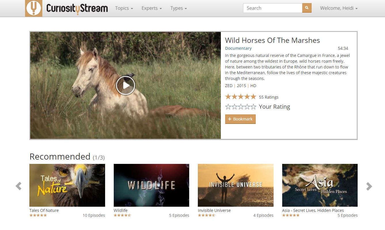 Wild Horses of the Marshes from CuriosityStream