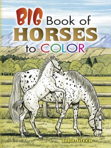 Big Book of Horses to Color