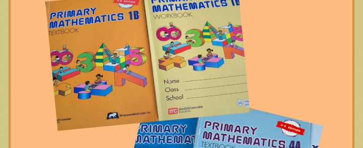 Using Singapore Math in Our Homeschool