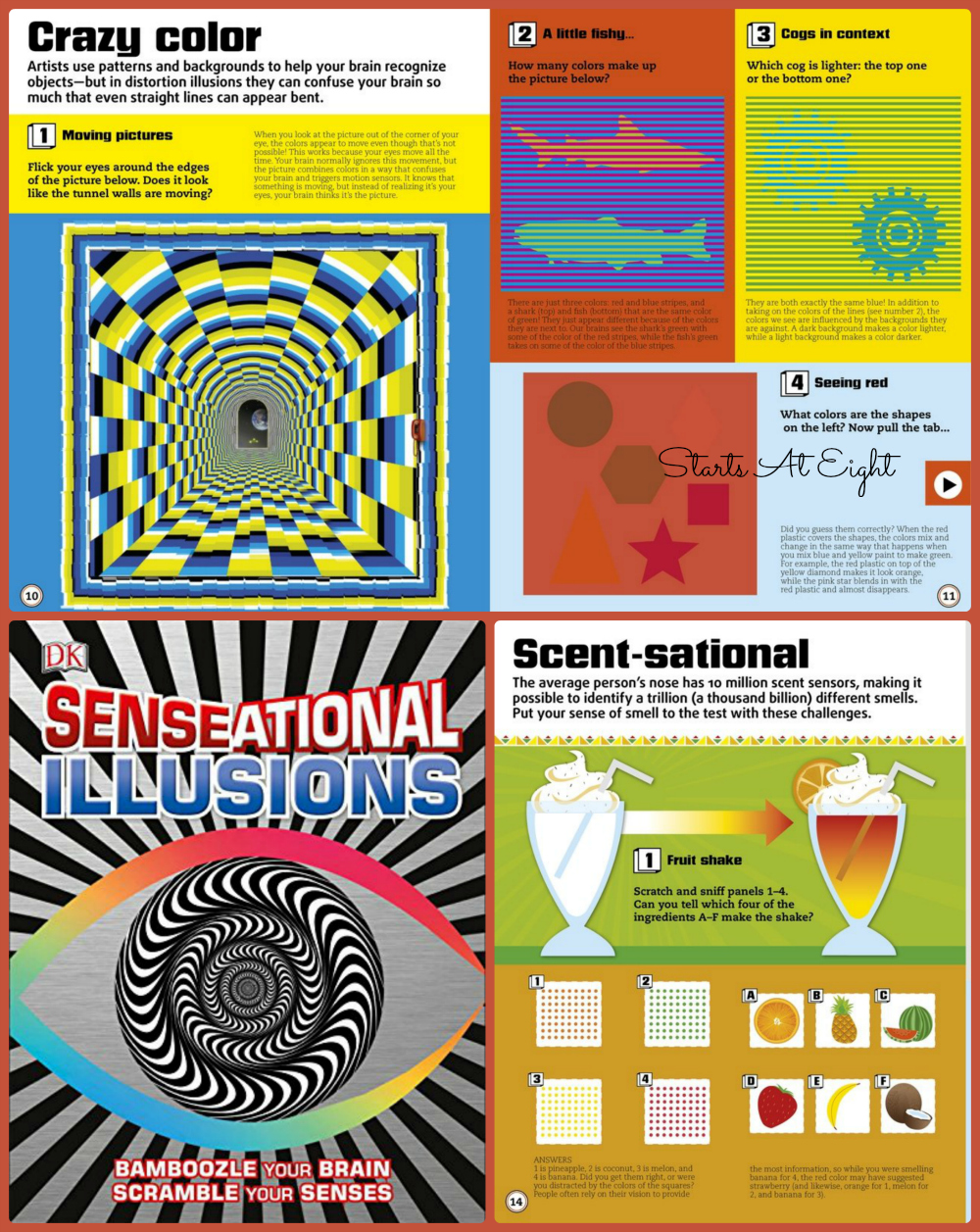 SENSEational Illusions