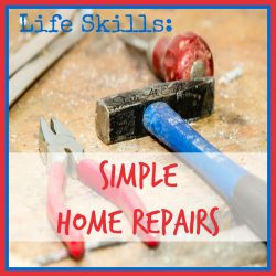 Life Skills: Simple Home Repairs from Starts At Eight